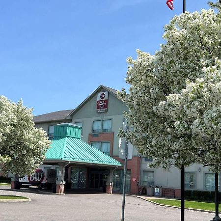 Best Western Plus Travel Hotel Toronto Airport Eksteriør bilde